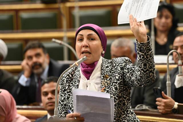 الدكتورة هالة أبو السعد وكيل لجنة المشروعات المتوسطة والصغيرة ومتناهية الصغر في مجلس النواب