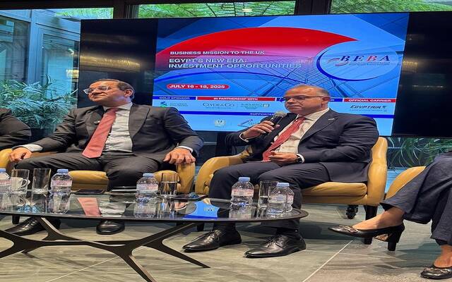 الدكتور محمد فريد رئيس الهيئة العامة للرقابة المالية بمصر