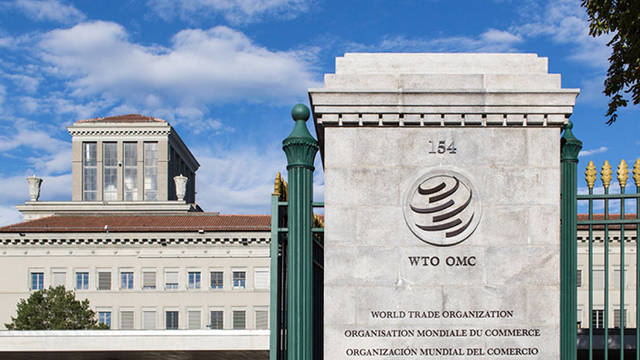 EU urges China to help WTO overhaul