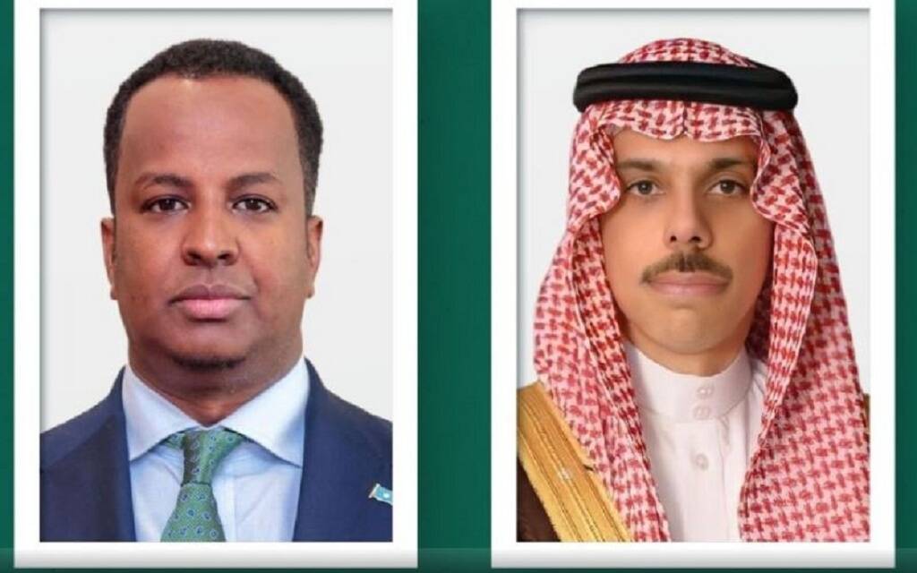 وزير الخارجية ونظيره الصومالي يؤكدان سيادة الصومال على كامل أراضيها