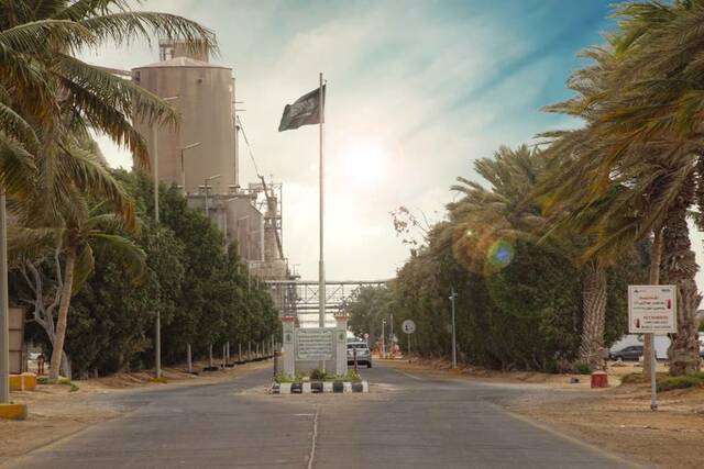 شركة الأسمنت العربية- أرشيفية