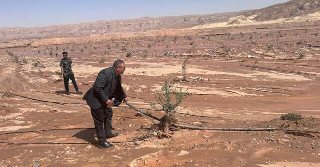 سيول وادي السعال