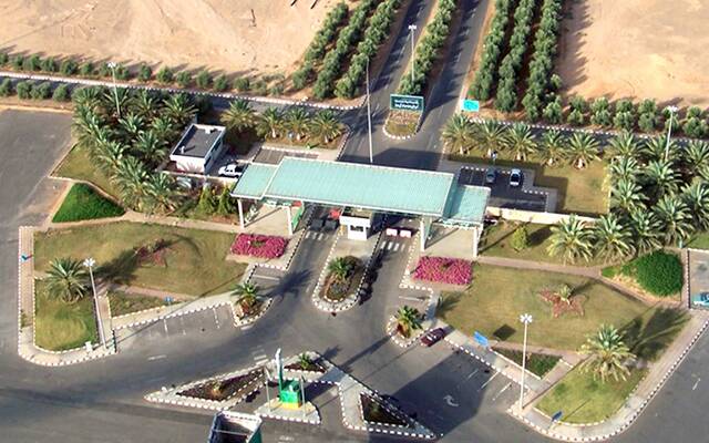 شركة تبوك للتنمية الزراعية "تبوك الزراعية"