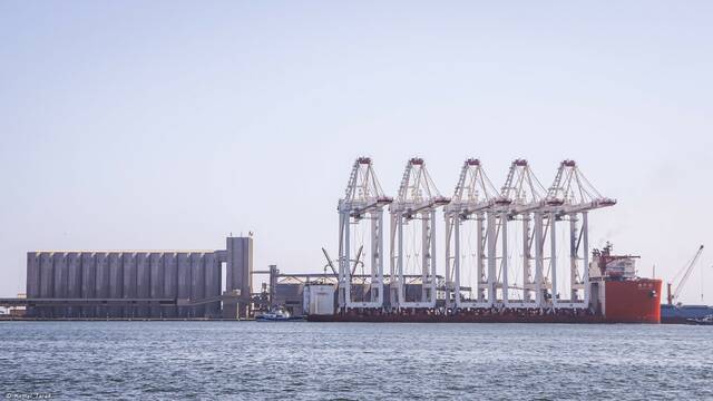 دفعة جديدة من أوناش الرصيف العملاقة