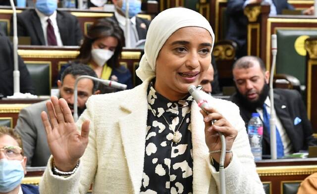 عضو مجلس النواب المصري أميرة أبو شقة