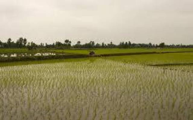 Photo Credit: Arabianeye - Reuters