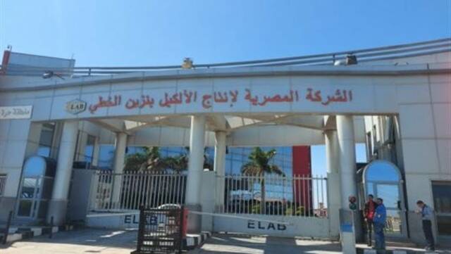 ارشيفية