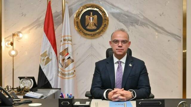 وزير الاستثمار المصري محمد فريد