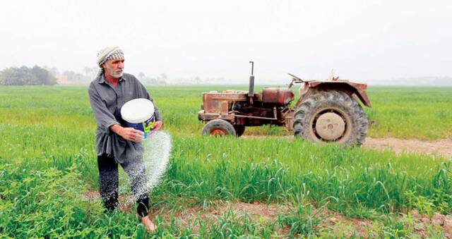 وزير التجارة العراقي: المخزون الاستراتيجي من القمح يكفي لأكثر من عام