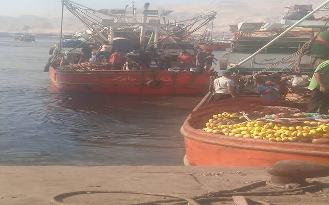 انطلاق موسم صيد الشانشولا