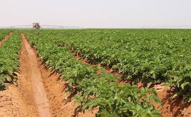 متحدث وزارة الزراعة: مصر خصصت 50 مليار جنيه لتطوير الري الحقلي