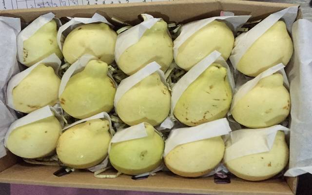 السعودية تحظر استيراد الجوافة المجمدة والمصنعة من مصر