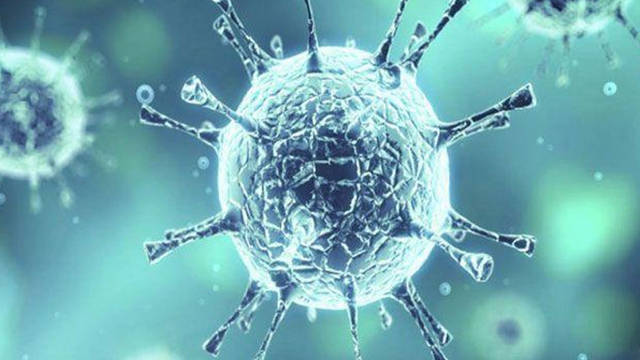 الإمارات تعلن تسجيل حالتي وفاة و1431 إصابة جديدة بفيروس كورونا