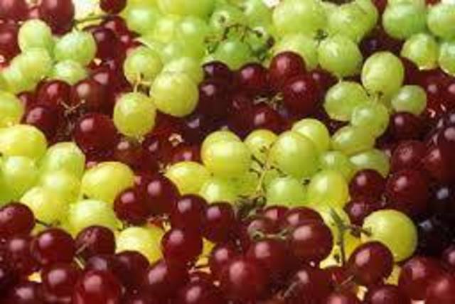 Tunisia’s grapes production hits 137,000 tons