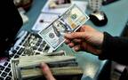 سعر الدولار اليوم