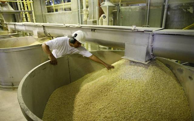 Delta Flour Mills tackles EGP7 dividends payout per share