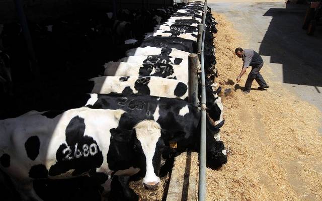 KSA halts Brazilian meat imports from 4 firms