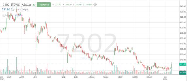 أداء سهم سلوشنز اليومي