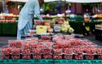 ارتفاع أسعار الغذاء عالميا