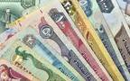 فئات مختلفة من الدرهم الإماراتي