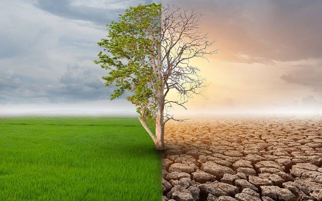 تقرير: ضرورة نمو تمويل القطاع الخاص بنسبة 36% لسد فجوة التمويل المناخي بإفريقيا