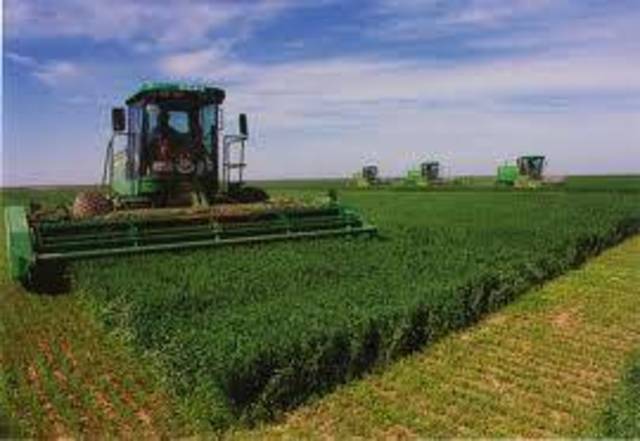 Port Said Agricultural Dev swings to loss in H1