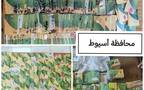 ارشيفية