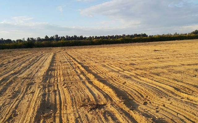 The land plot has a value standing at EGP 6.5 million