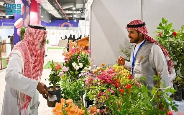 إطلاق مهرجان التسويق الزراعي الأول بمحافظة جدة