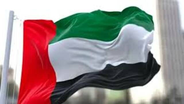 علم دولة الإمارات
