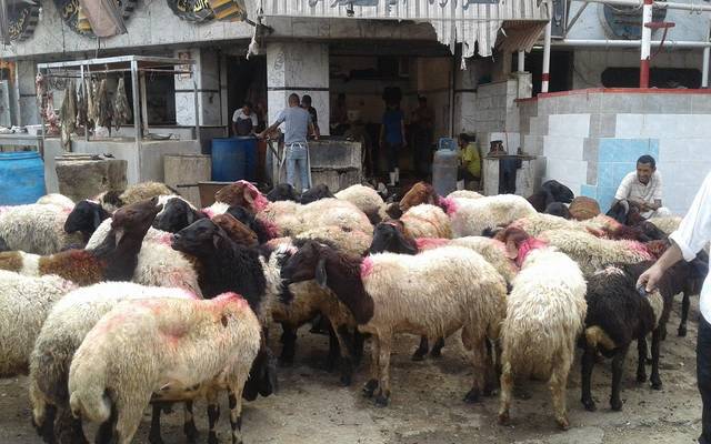 الزراعة المصرية تعلن تحصين مليوني رأس ماشية لحمايتها من الأمراض والأوبئة