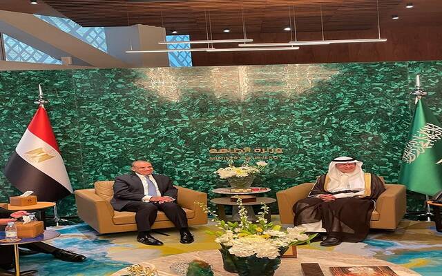 بدر عبد العاطي وزير الخارجية والهجرة المصري مع الأمير عبد العزيز بن سلمان وزير الطاقة