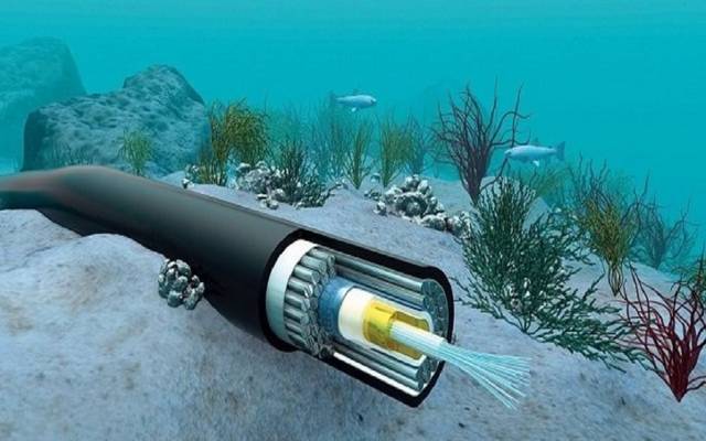 قيمة الشركة بلغت 30.61 مليون دولار