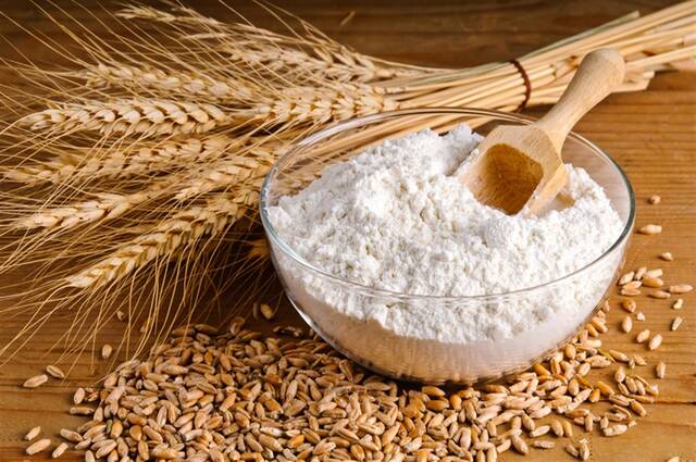 مصر تدرس استيراد القمح من 3 أسواق جديدة