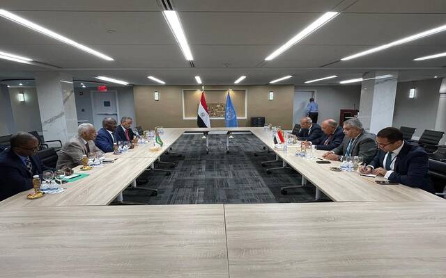 مصر تؤكد أهمية زيادة التعاون الاقتصادي وحجم التبادل التجاري مع موريتانيا