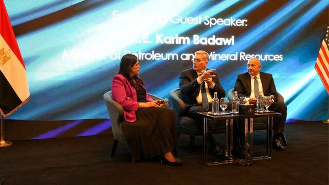 جانب من اللقاء