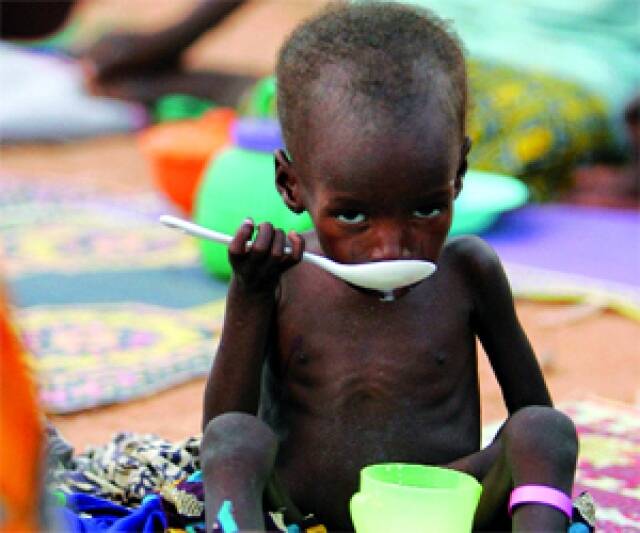 الأمم المتحدة: انقلاب النيجر فاقم انعدام الأمن الغذائي