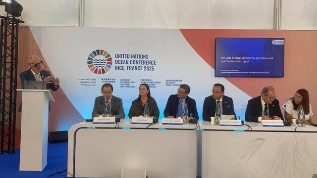 جانب من المؤتمر