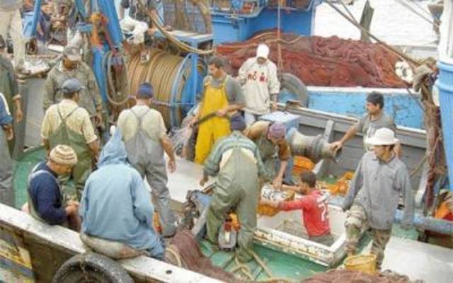 ارتفاع حجم الإنتاج المغربي من الصيد الساحلي والتقليدي بـ 20% نهاية أكتوبر