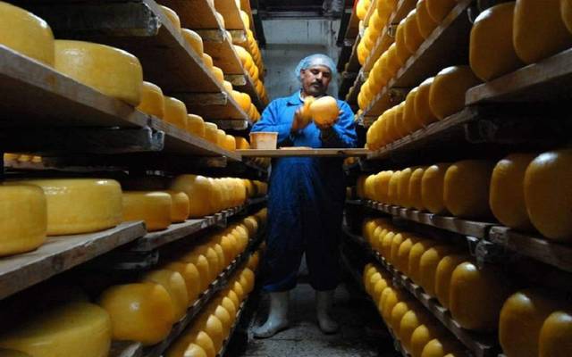 عامل بمصنع أجبان تابع للقلعة - الصورة من موقع شركة القلعة