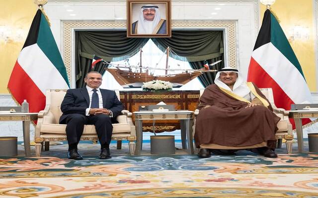 بدر عبد العاطي وزير الخارجية والهجرة