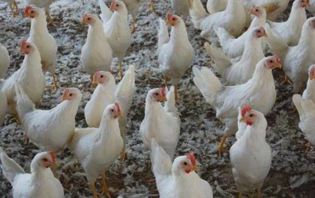 Photo Credit: Reuters