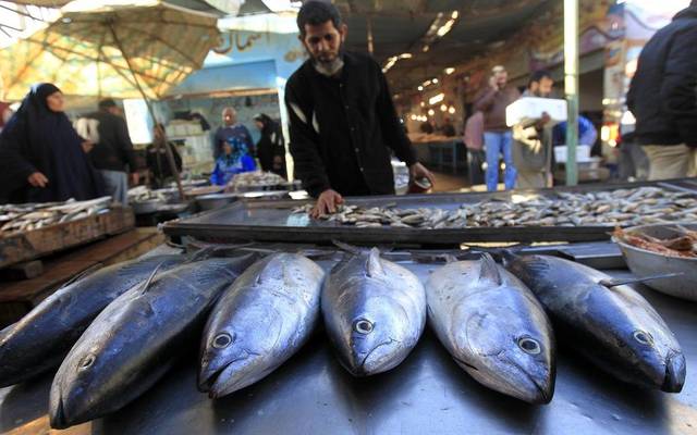 مصر تفرض رسوماً على صادرات الأسماك لمدة 4 أشهر