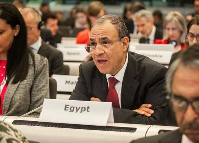 بدر عبد العاطي، وزير الخارجية المصري