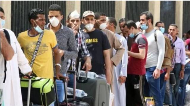 وزارة العمل المصرية تُعلن إلغاء وإيقاف نشاط 4 شركات إلحاق عمالة بالخارج