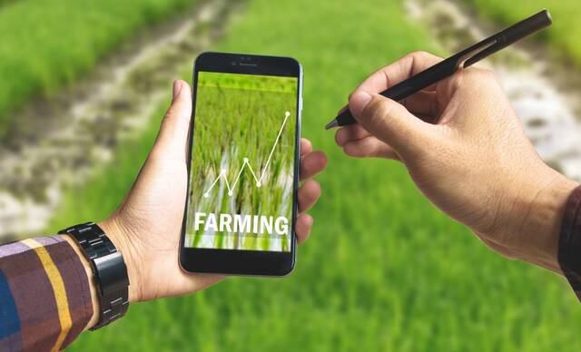 du, Gracia launch agritech digital platform to boost agriculture in UAE