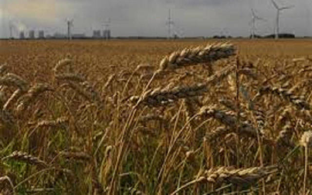 Mubadala, Russian fund study potential agricultural investment
