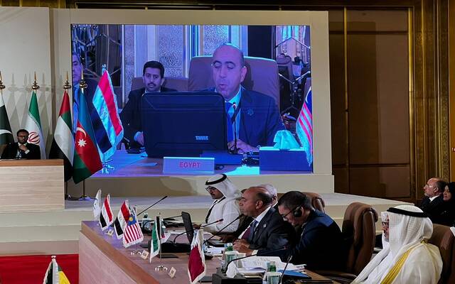 مصر تشارك في اجتماع فريق الاتصال لمنظمة التعاون الإسلامي المعني بالصومال