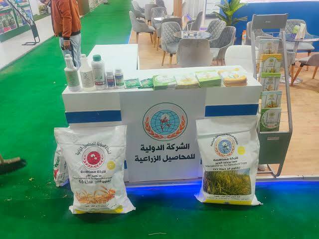 ارشيفية