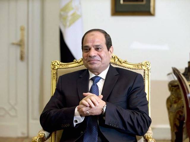 El-Sisi: government will control goods prices in 2 months